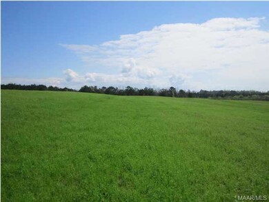 Gentle slope on property.