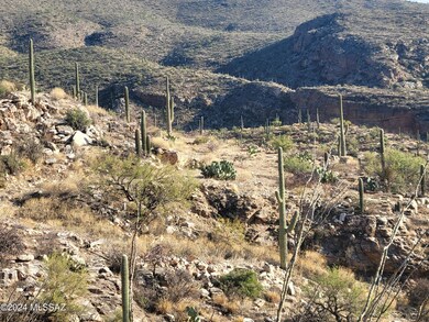 13013 E Cabeza de Vaca St unit Lot C, Tanque Verde, AZ 85749 - photo 5