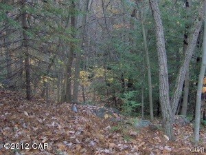 area leading to stream