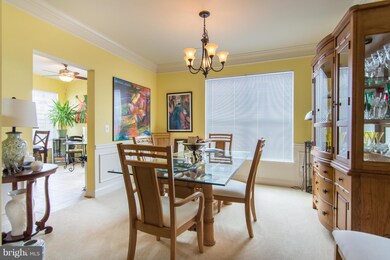 8612 Wintergreen Ct unit 202, Odenton, MD 21113 - photo 5