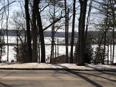 Gun lake view