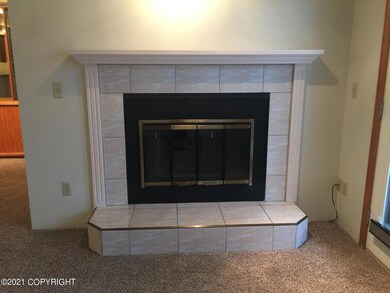 PP fireplace
