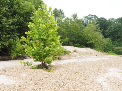 4080 W Topisaw S, Summit, MS 39666 - photo 5