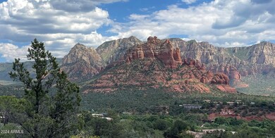 IMG_8536
