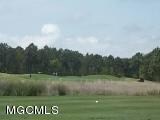 Lot 15_ Forrest_ Preserve