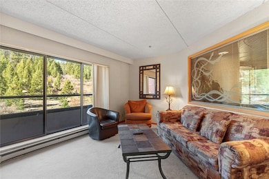 Living area featuring a baseboard heating unit, carpet floors, and a textured ceiling