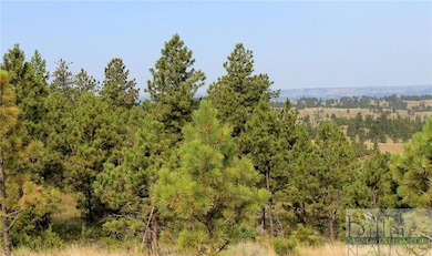 Nhn Lone Rock Canyon Lot: Sc-28, Hysham, MT 59076 - photo 5