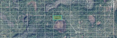 0 Dill Rd unit MFRO6245326, Orlando, FL 32820 - photo 2