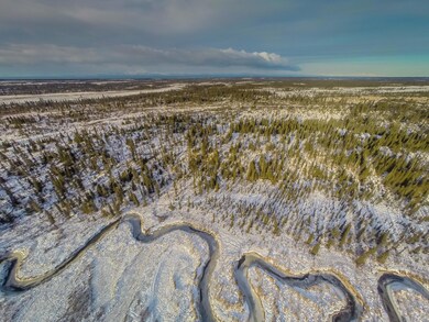 30434 Right Bank, Anchor Point, AK 99556 - photo 6