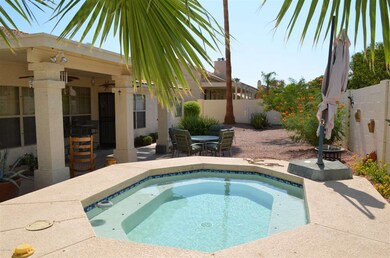 Back Yard and Spa