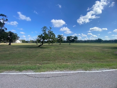 TBD County Road 519, Brazoria, TX 77422 - photo 6