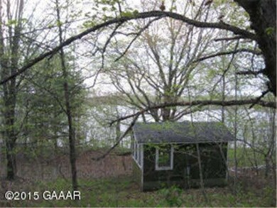 12267 Reubens Lodge SW, Farwell, MN 56327 - photo 3