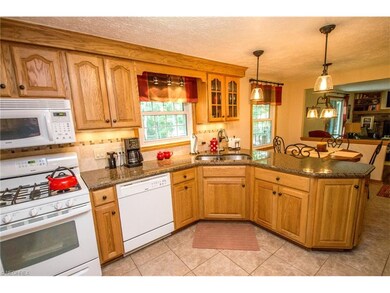 Kitchen view 2