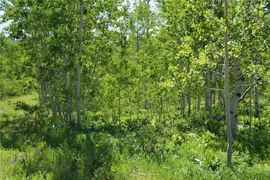 View of nature