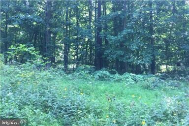 30 Luchase Rd unit VAWR141564, Linden, VA 22642 - photo 3