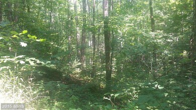 0 High Rd unit 1003155774, Madison, VA 22727 - photo 2