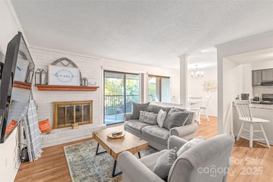 11058 Cedar View Rd unit 8367, Charlotte, NC 28226 - photo 2