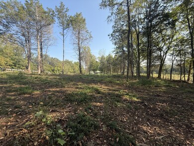 0 Waynesboro Hwy unit RTC2991221, Waynesboro, TN 38485 - photo 7