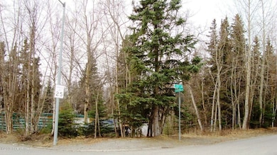 Corner Lot