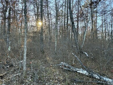 TBD N Pow Rd, Springbrook, WI 54875 - photo 5