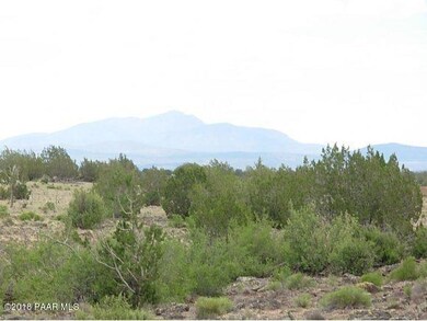 107 Juniperwood Ranch, Ash Fork, AZ 86320 - photo 4