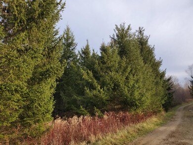 20201030_155459 (1)
