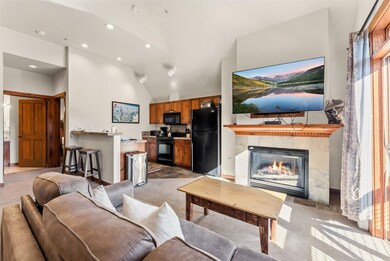 505 S Main St unit 2403, Breckenridge, CO 80424 - photo 5