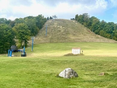 6519 Schuss Mountain Ln unit 3503 & 3504, Mancelona, MI 49659 - photo 2