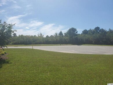 1116 Dalmore Ct unit Lot 171 Republic B, Conway, SC 29526 - photo 3