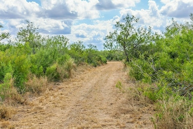 1121 Other, Alice, TX 78342 - photo 5