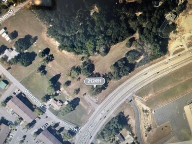 3036 Veterans Blvd Middle Creek Rd, Pigeon Forge, TN 37863 - photo 2