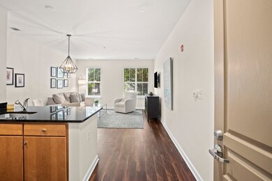 3 Repton Cir unit 3107, Watertown, MA 02472 - photo 4