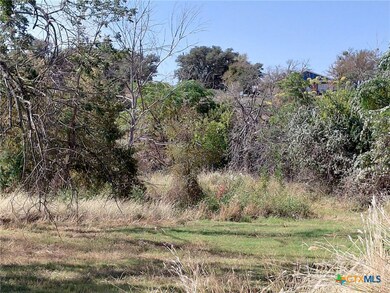 00 Leisure Ln, Burnet, TX 78611 - photo 7