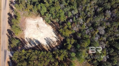 26464 County Road 87 unit BT Ph 2 Lot 2, Robertsdale, AL 36567 - photo 5