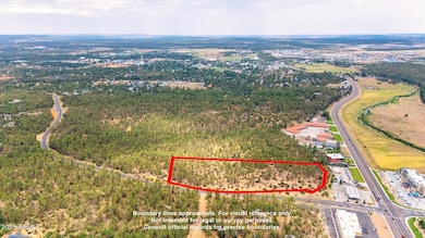 1400 S 11th St, Show Low, AZ 85901 - photo 7