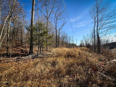 WP-02 Langford Creek Rd, van Etten, NY 14889 - photo 7