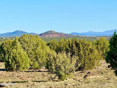 TBD Mustang Ln Lots F & H 5 Acre --, Show Low, AZ 85901 - photo 2