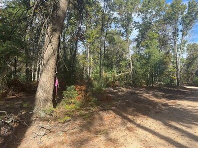 Parcel B W 16th St, Baldwin, MI 49304 - photo 2