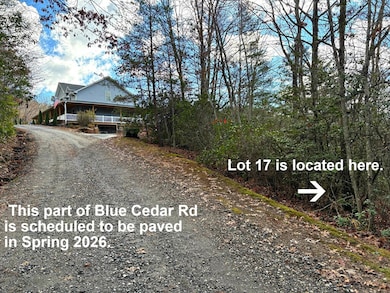 Lot 17 Blue Cedar Rd, Sylva, NC 28779 - photo 3