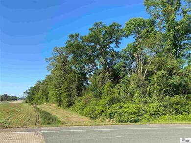 0 U S 425 unit Shelton Rd. 197088, Bastrop, LA 71220 - photo 2