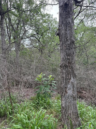 Lot 1035 Kawanui Dr, Bastrop, TX 78602 - photo 5