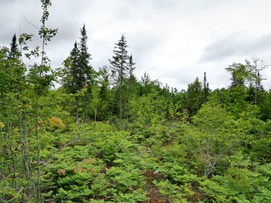 Off Main Rd, Passadumkeag, ME 04475 - photo 7