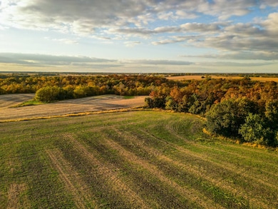 21672 520th St, Centerville, IA 52544 - photo 7