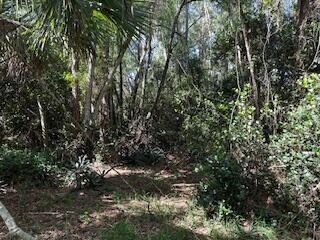 000 129th Ave N, the Acreage, FL 33411 - photo 3