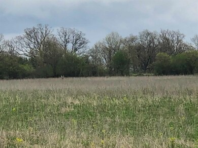 0 N Maple Rd unit 23063944, Ann Arbor, MI 48105 - photo 7