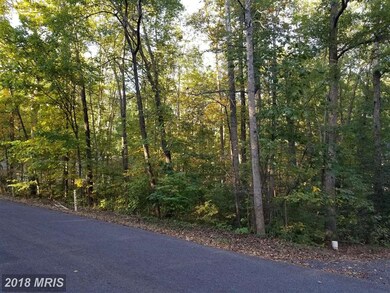 112 Tall Pines Ave, Locust Grove, VA 22508 - photo 3