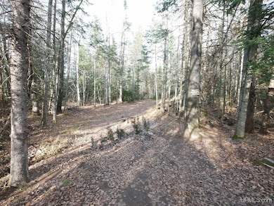 TBD Asumaa Rd, Atlantic Mine, MI 49905 - photo 5