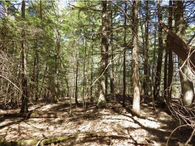 0 Rte 63 & Crowningshield Rd, Chesterfield, NH 03462 - photo 2