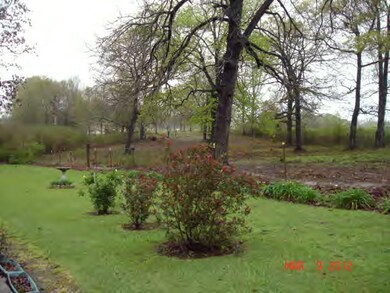Additional View 4