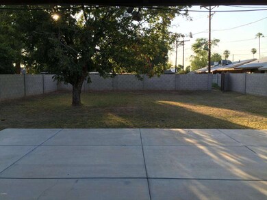Huge Yard